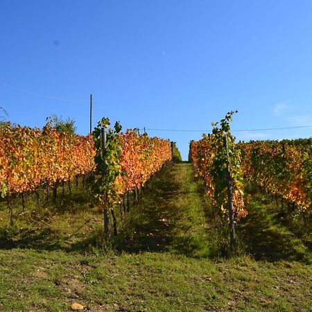 Agriturismo Costa Dei Platani Acqui Terme Ngoại thất bức ảnh