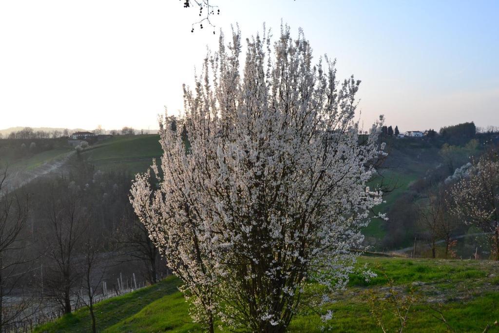Agriturismo Costa Dei Platani Acqui Terme Ngoại thất bức ảnh