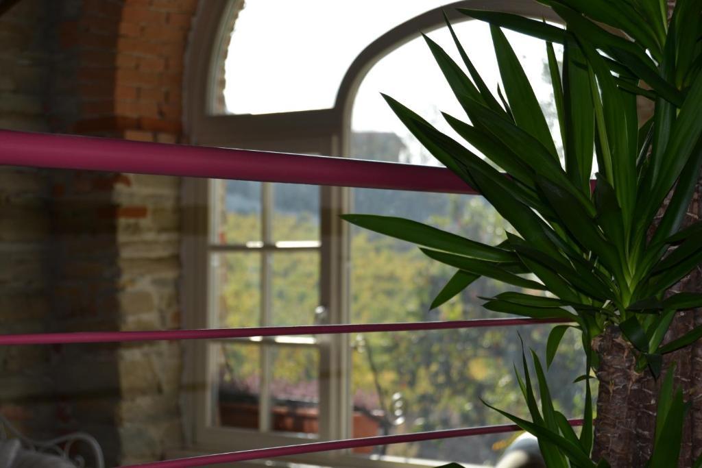Agriturismo Costa Dei Platani Acqui Terme Ngoại thất bức ảnh