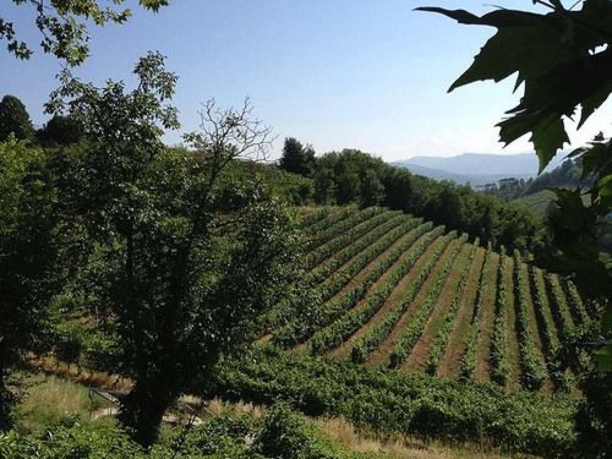 Agriturismo Costa Dei Platani Acqui Terme Ngoại thất bức ảnh