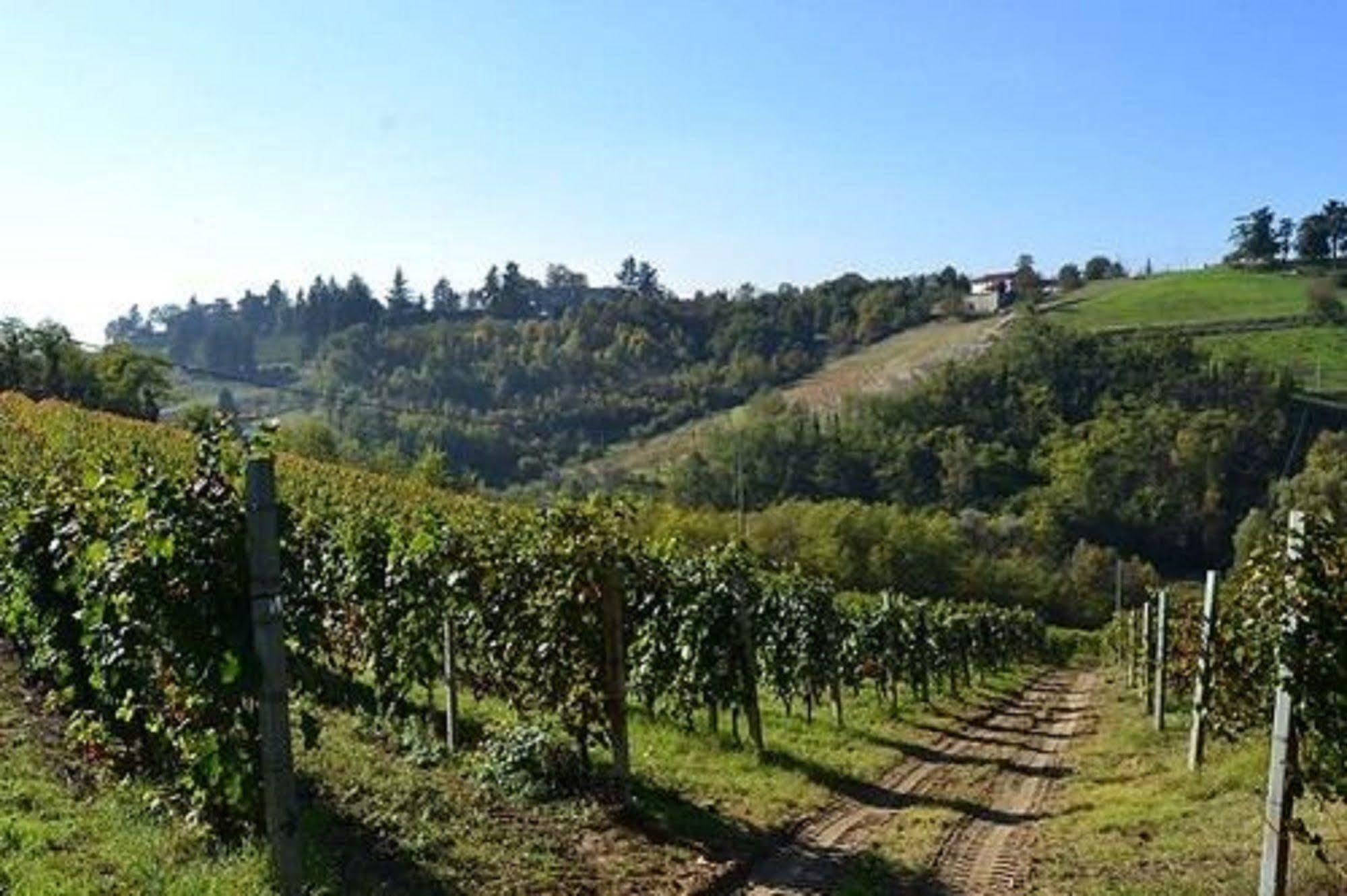 Agriturismo Costa Dei Platani Acqui Terme Ngoại thất bức ảnh