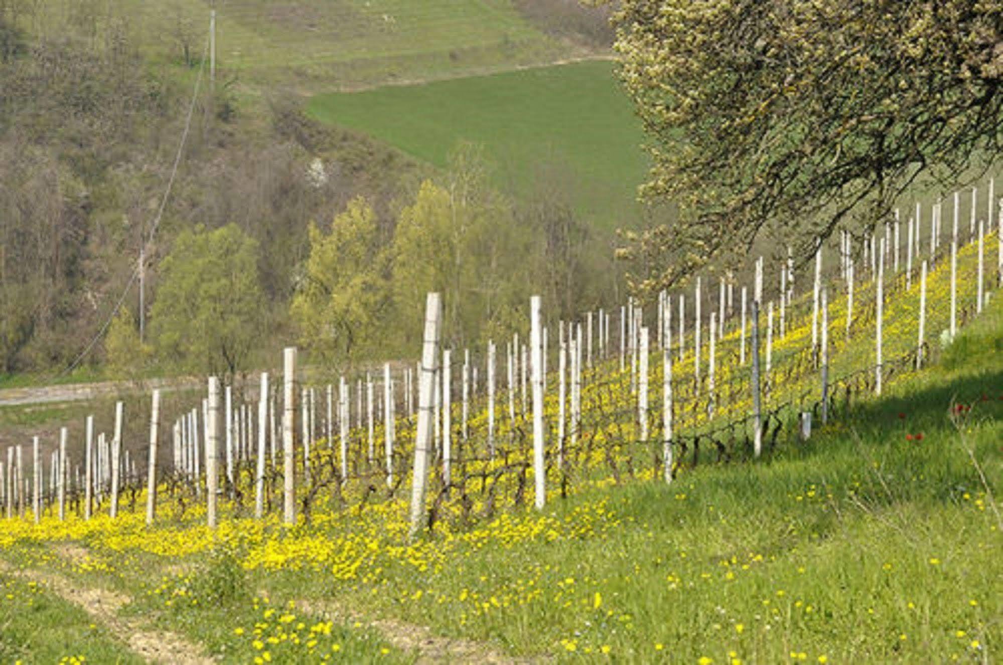 Agriturismo Costa Dei Platani Acqui Terme Ngoại thất bức ảnh