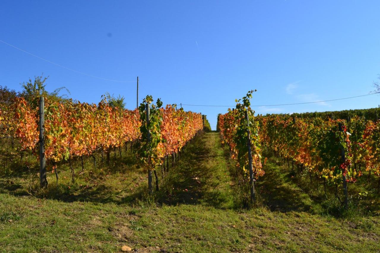 Agriturismo Costa Dei Platani Acqui Terme Ngoại thất bức ảnh